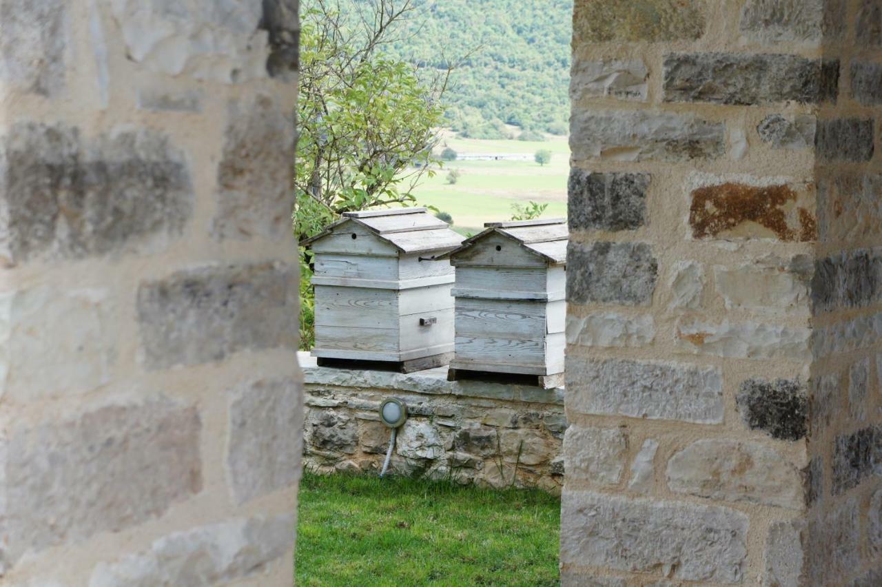 "Apeiros Chora" Hotel, Zagori Kato Pedina Eksteriør bilde